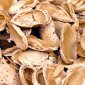 Almond-Shells.jpg