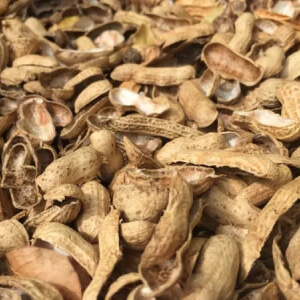 Groundnut-Shell.jpg