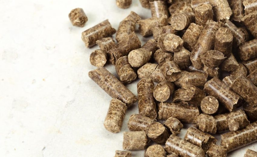 Biomass Pellet Machines in Rajkot for Clean Energy Solutions