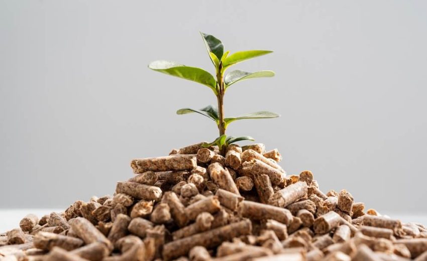 Eco-Friendly Biomass Briquetting Machines in Rajkot, Gujarat