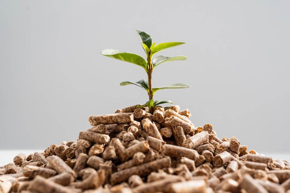 plant-growing-from-pellets