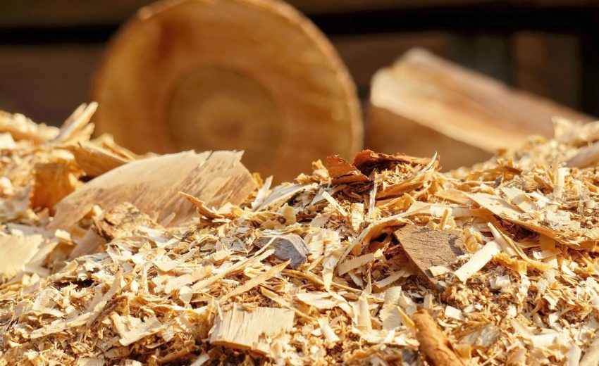 Top 5 Raw Materials for Wood Pellets: Which Is Best for Your Biomass Pellet Machine?