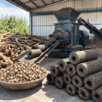 groundnut shell white coal profit