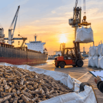 Global Demand for Biomass Biofuels